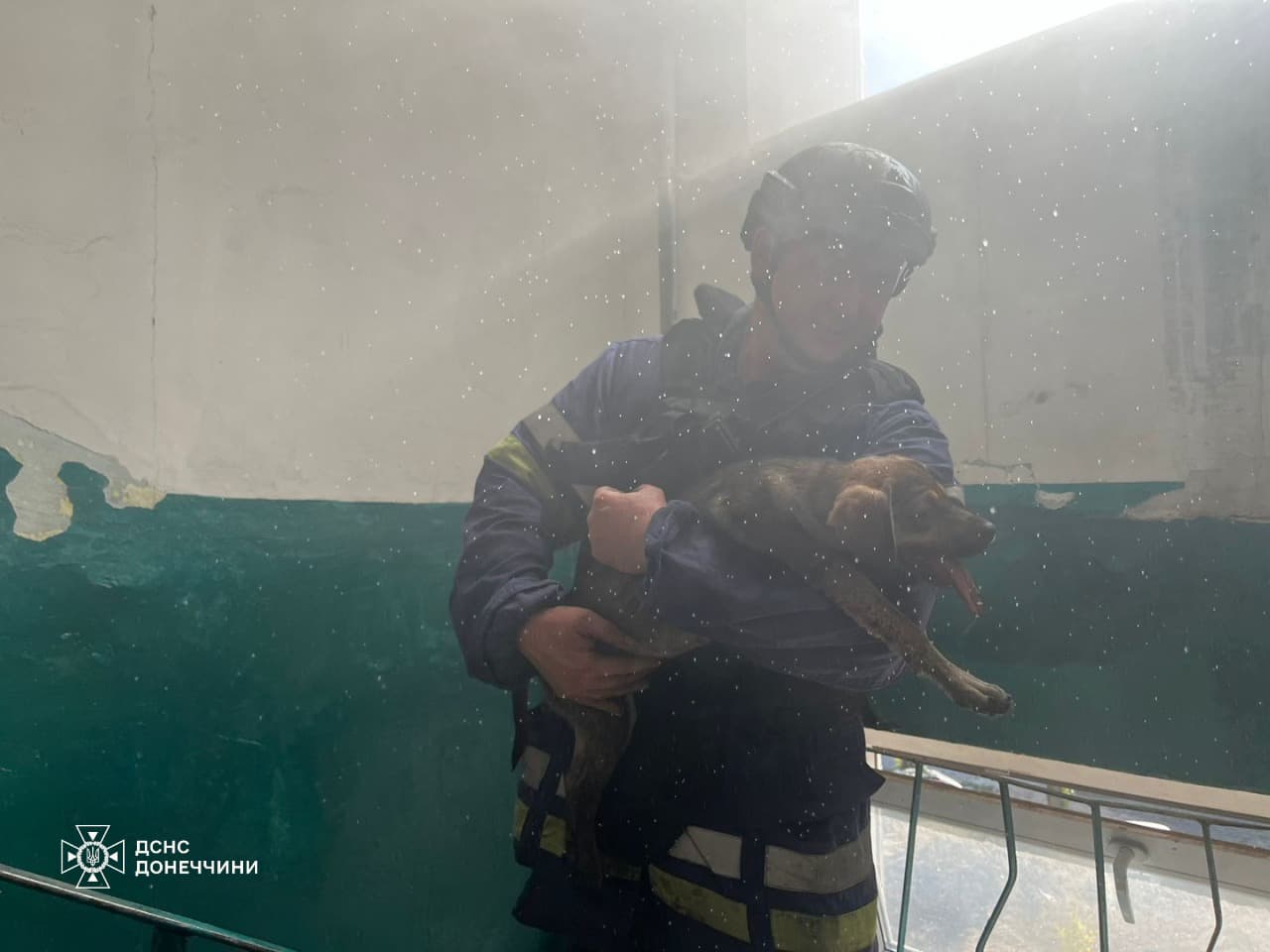 З пожежі врятували домашню тварину