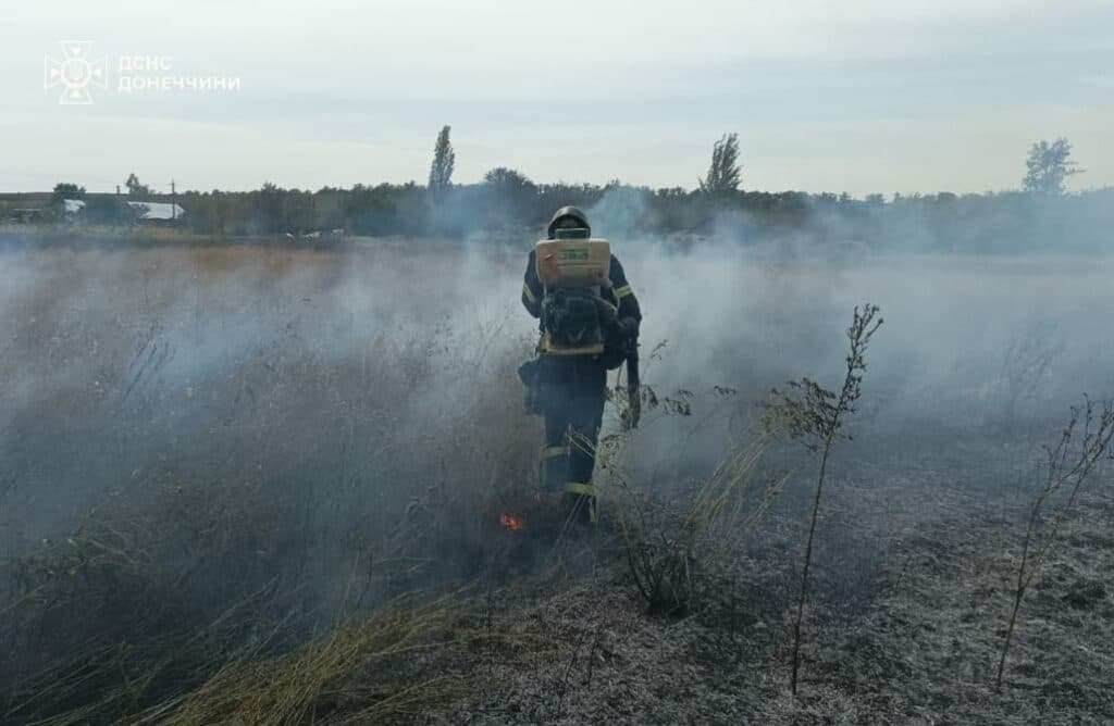 пожежа на донеччині 4