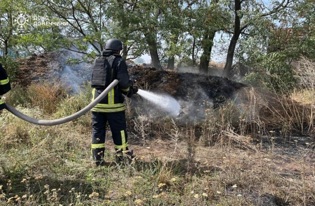 пожежа на донеччині 6