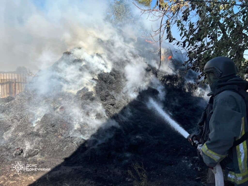пожежі на донеччині 3