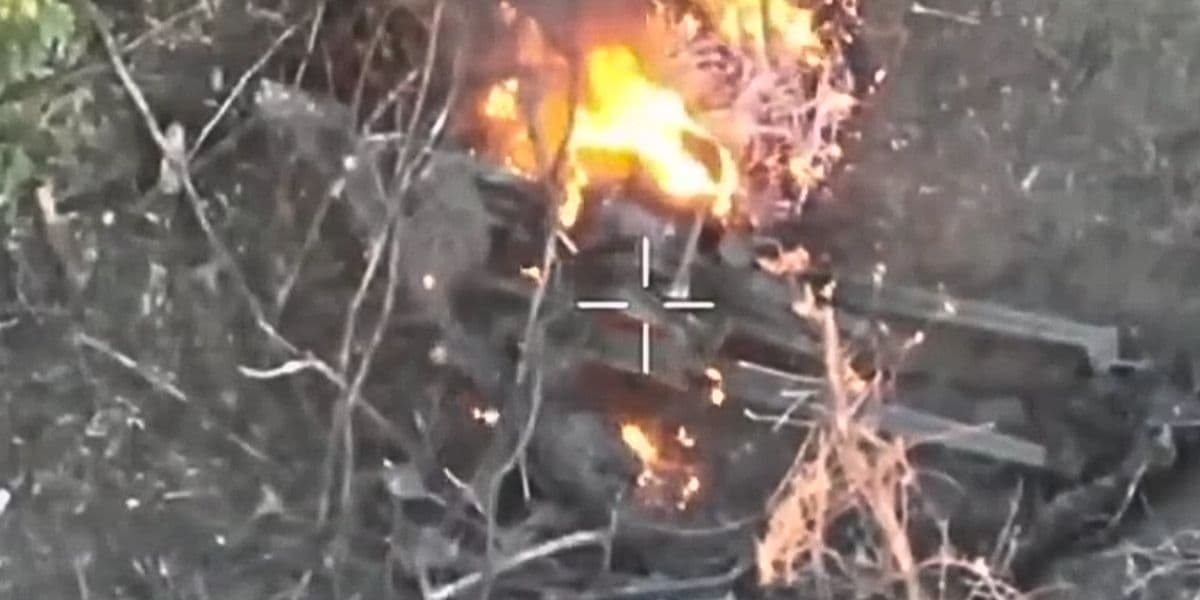 скиди помсти