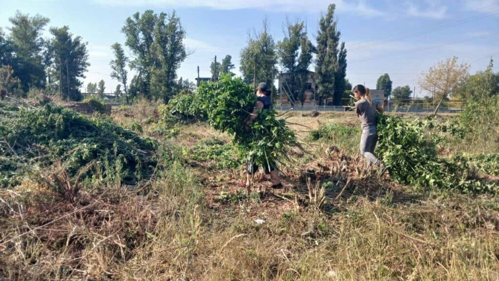 суспільно корисні роботи 7