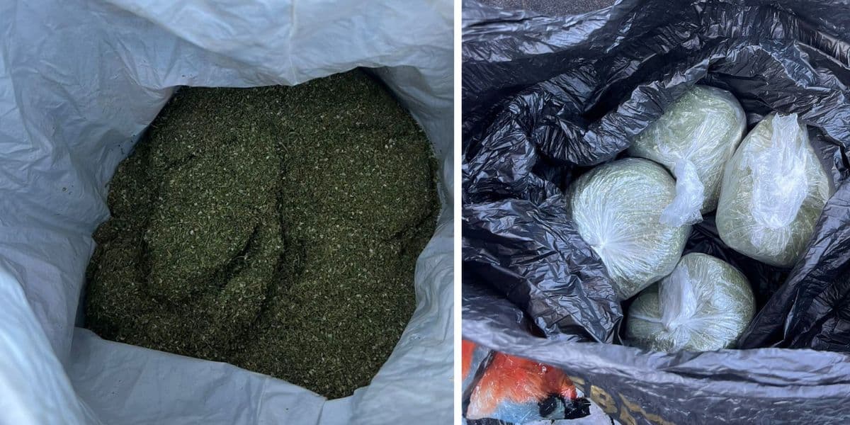 Кілограм марихуани виявили на Харківщині поліціянти з Луганщини
