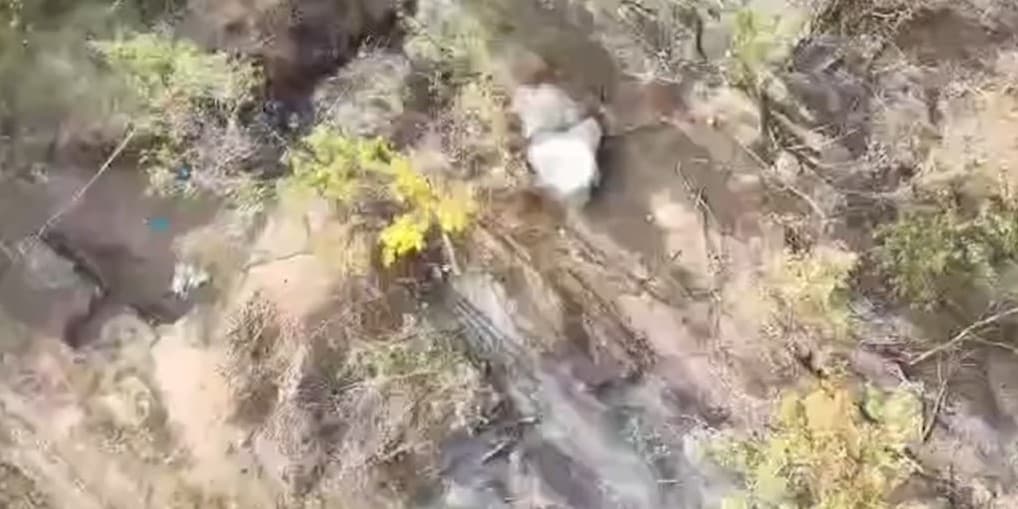 Луганські прикордонники на Куп'янському напрямку