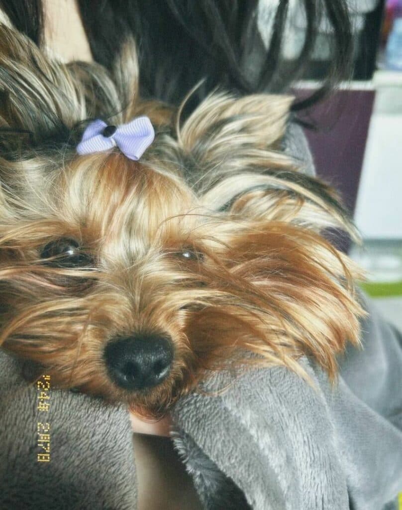 родина з Луганщини