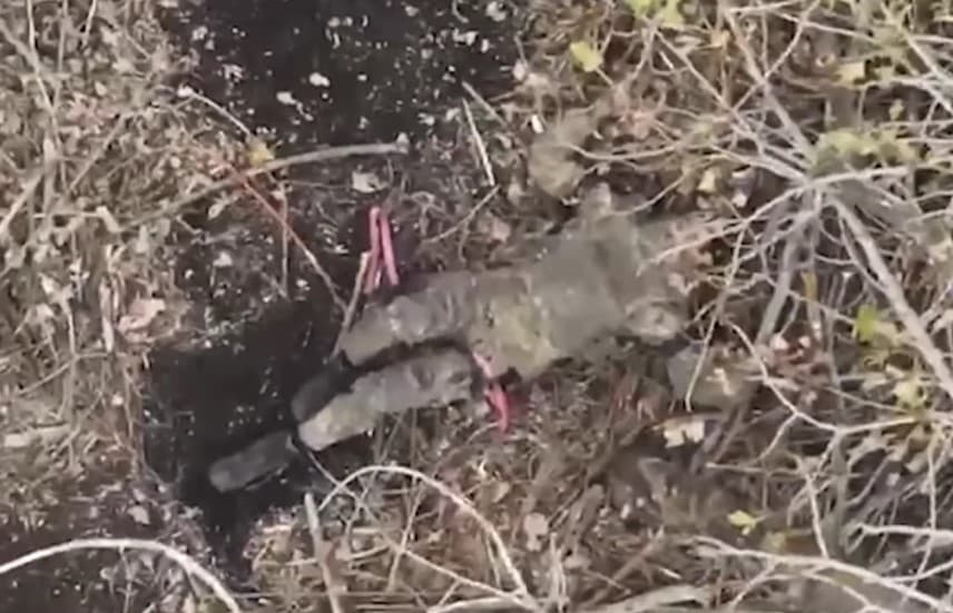 уражений помстою окупант