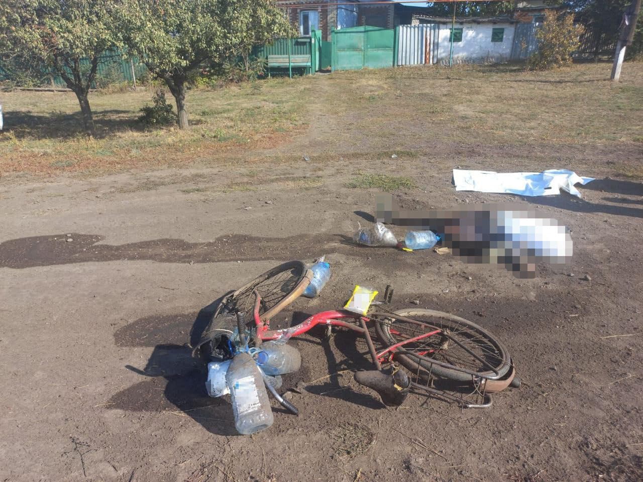 вбита жителька Іванопілля