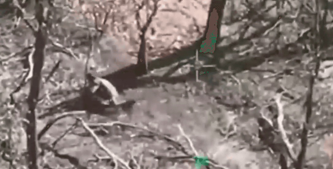 знищення окупанта 67 омбр