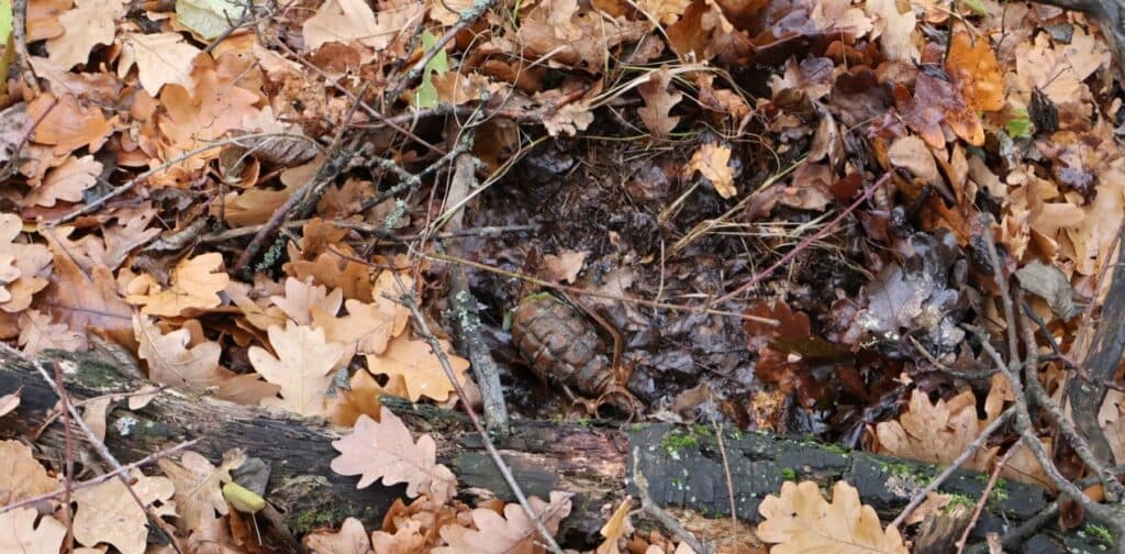 У Святогір'ї під час обстеження піротехніки ДСНС виявили ручну гранату