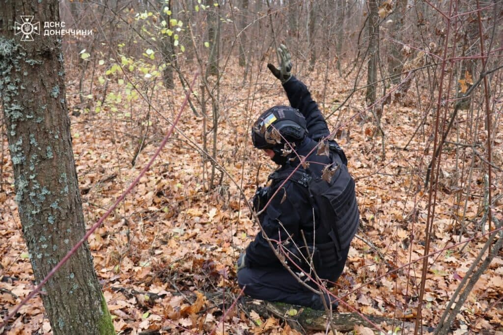 У Святогір'ї під час обстеження піротехніки ДСНС виявили ручну гранату (фото)