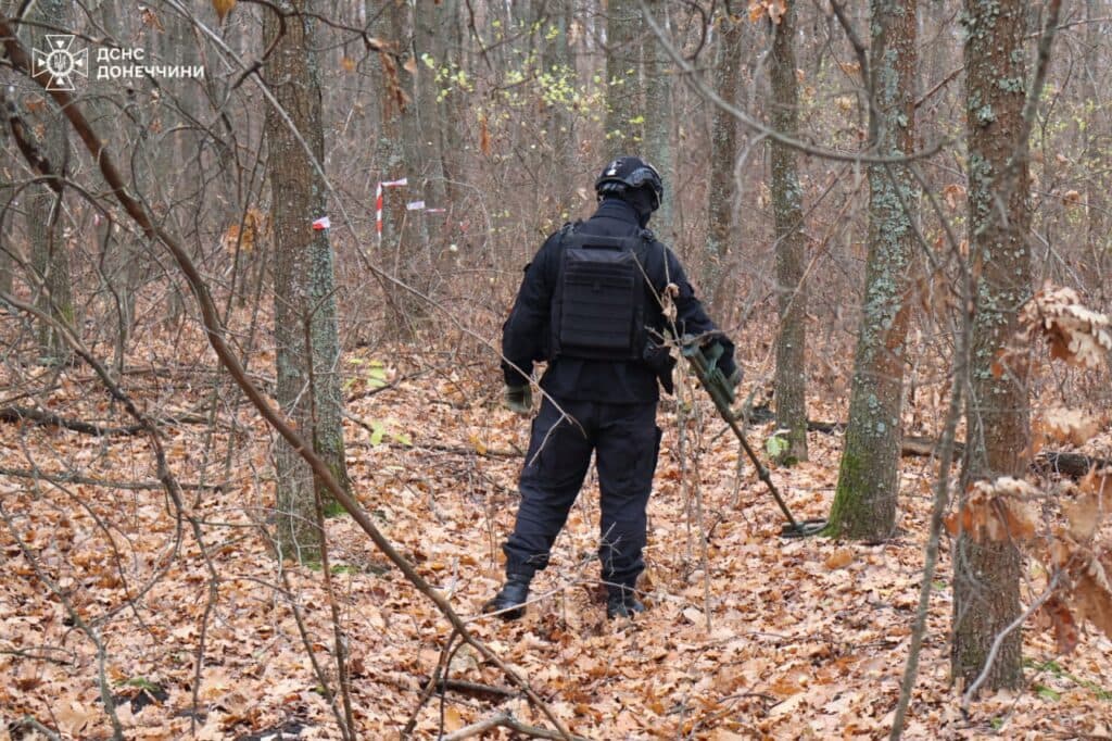 У Святогір'ї під час обстеження піротехніки ДСНС виявили ручну гранату (фото)