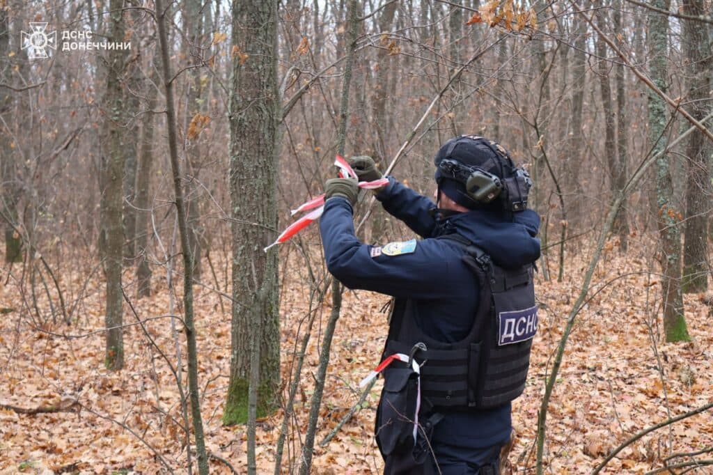 У Святогір'ї під час обстеження піротехніки ДСНС виявили ручну гранату (фото)