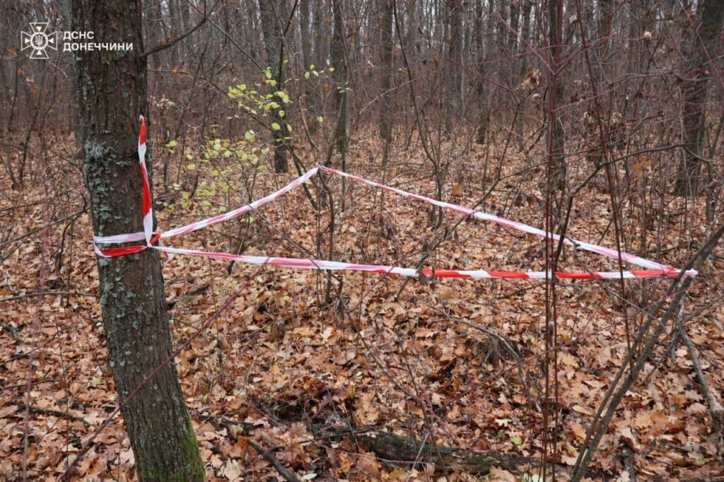 У Святогір'ї під час обстеження піротехніки ДСНС виявили ручну гранату (фото)