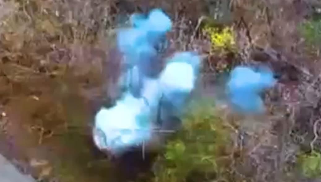 Луганські прикордонники показали роботу по окупантам на Краматорському напрямку