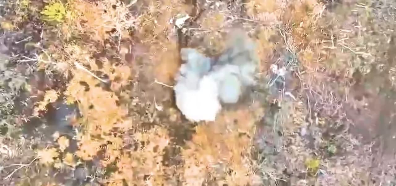 Луганські прикордонники показали роботу ударних дронів по техніці та озброєнню окупантів на Краматорському напрямку