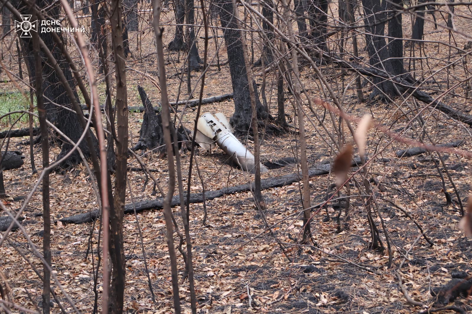 Минулої доби на Донеччині піротехніки вилучили 11 вибухонебезпечних предметів
