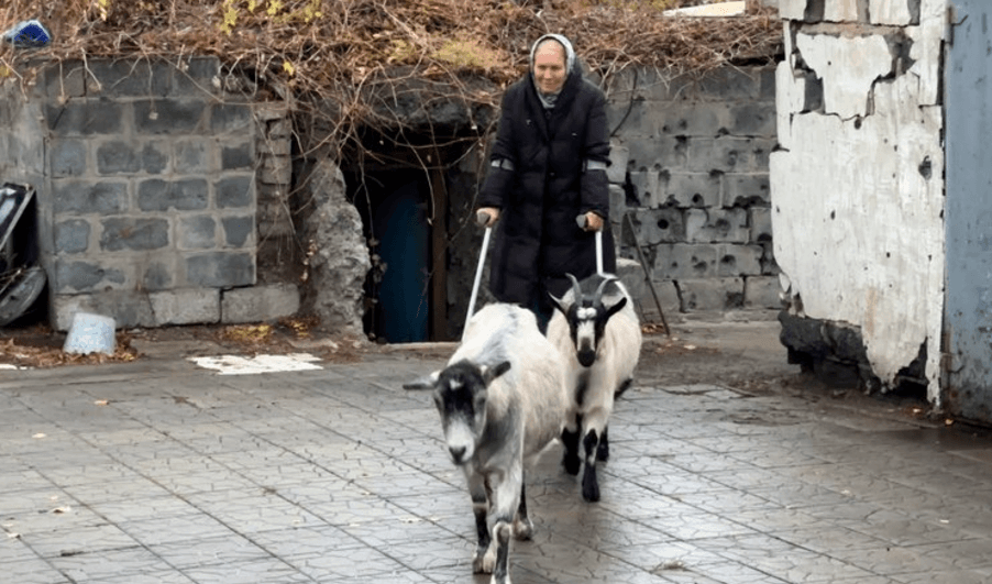 Жительки деокупованого Святогірська підірвалася на міні, коли пасла кіз