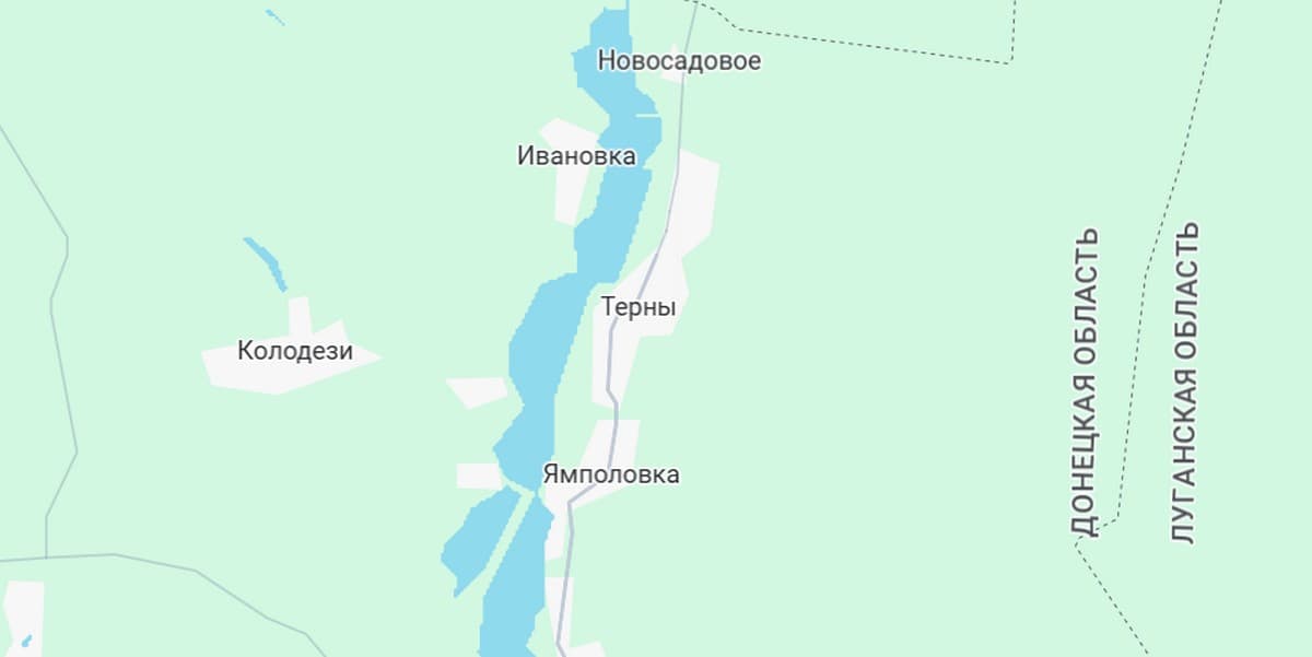 Не всі люди хочуть виїжджати з Тернів, допомогу в село завозять Сили оборони