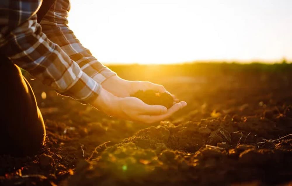 На окупованій Луганщині загарбники змушують фермерів оформити землі за "законодавством рф" з погрозами конфіскації