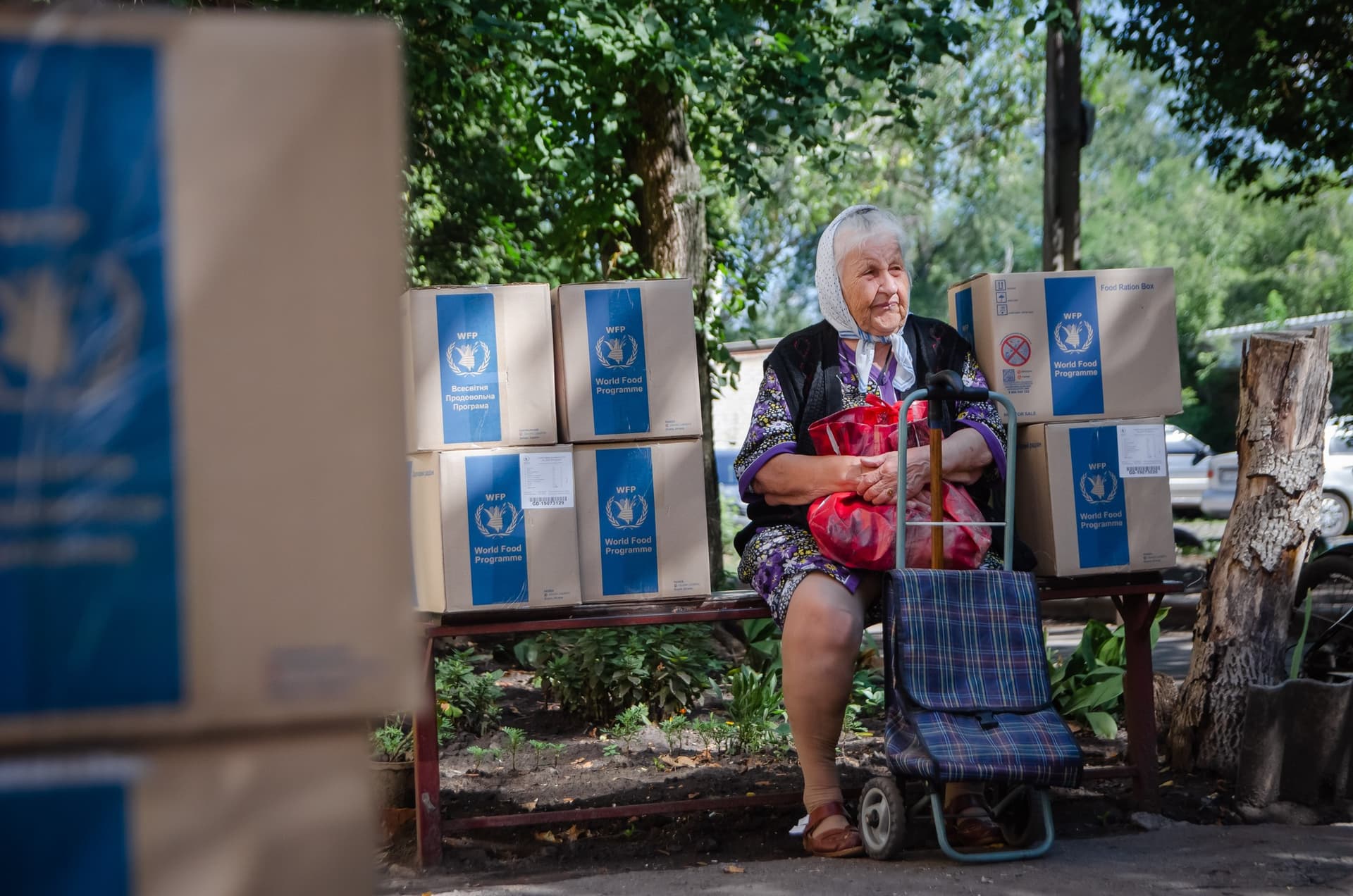 допомога від Всесвітньої продовольчої програми ООН