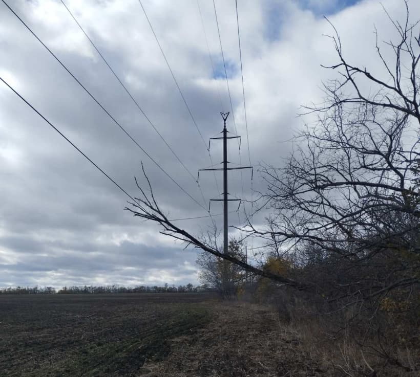 гілка на проводах, електроопора