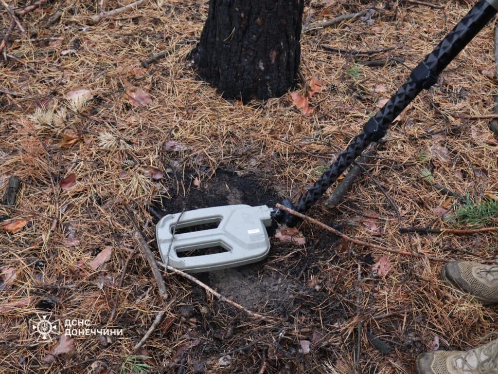 металодетектор дснс