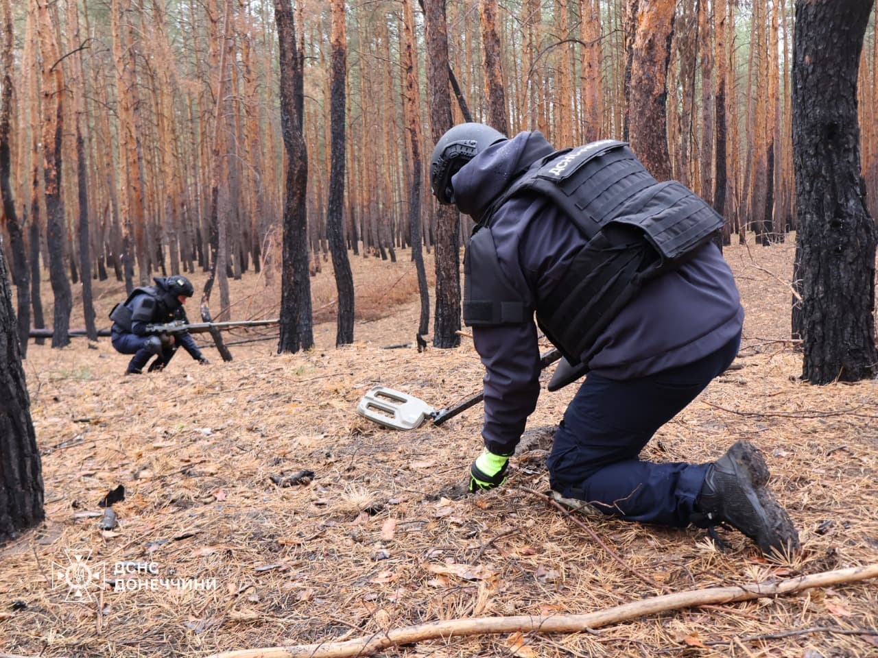 сапери дснс у лісі шукають внп