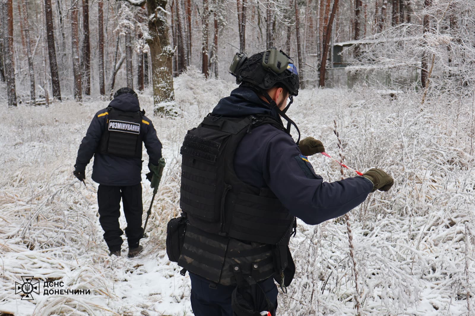 На Донеччині піротехніки ДСНС продовжують розміновувати деокуповані ліси