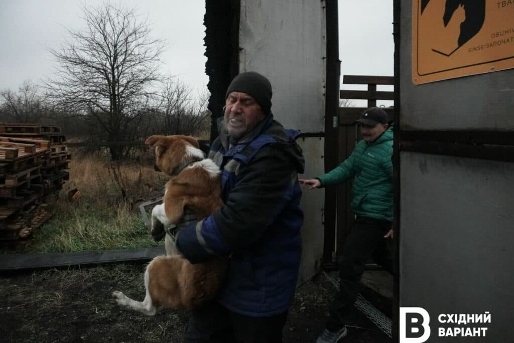 тварини з Донеччини