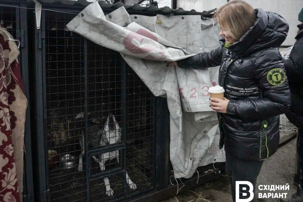 тварини з Донеччини