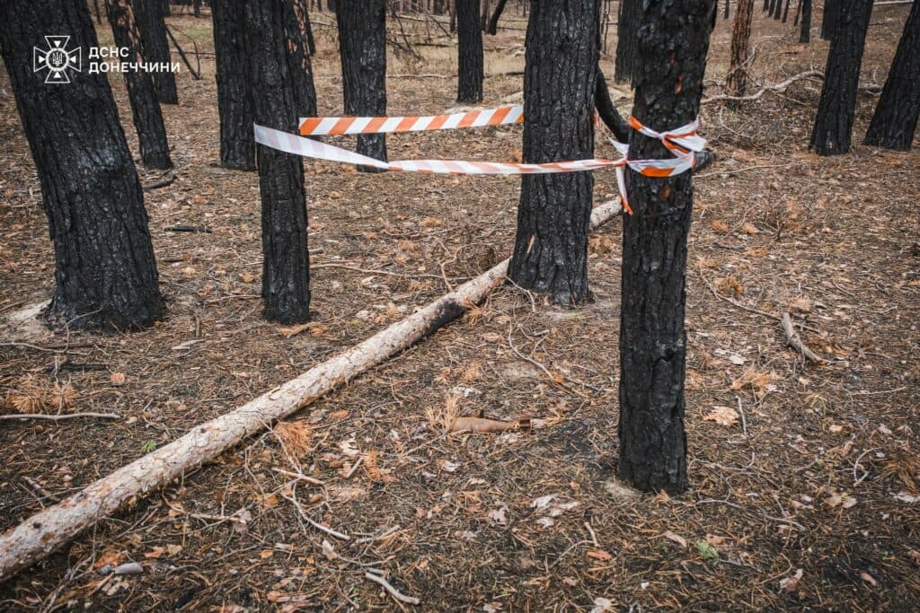 Піротехніки ДСНС виявили мінометну міну та снаряд від РСЗВ Град в лісах Лиманщини
