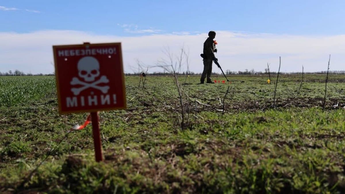 Представництво "The HALO Trust" в Україні проведе для ВПО Луганщини онлайн зустріч