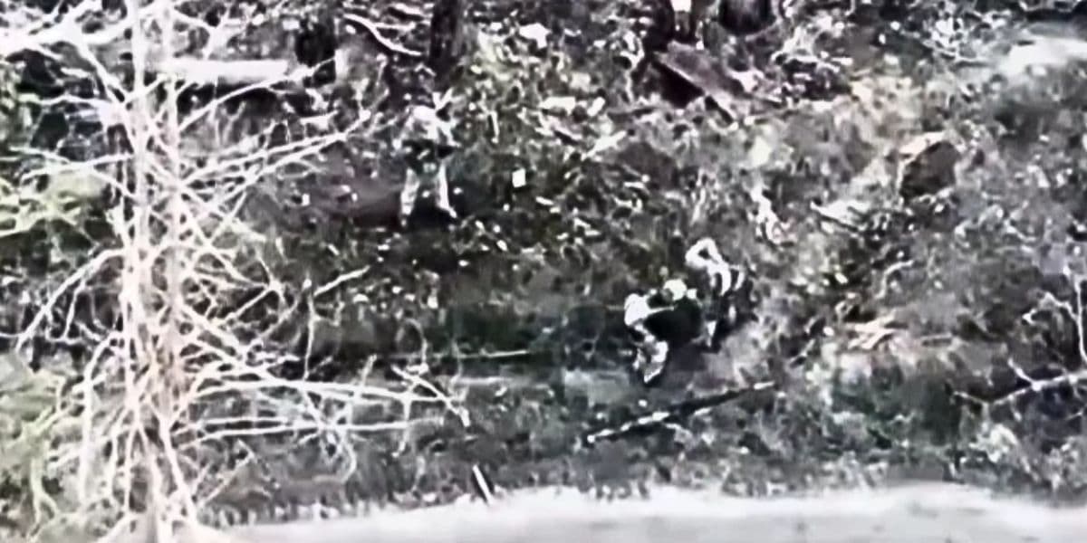 полон у серебрянському лісі