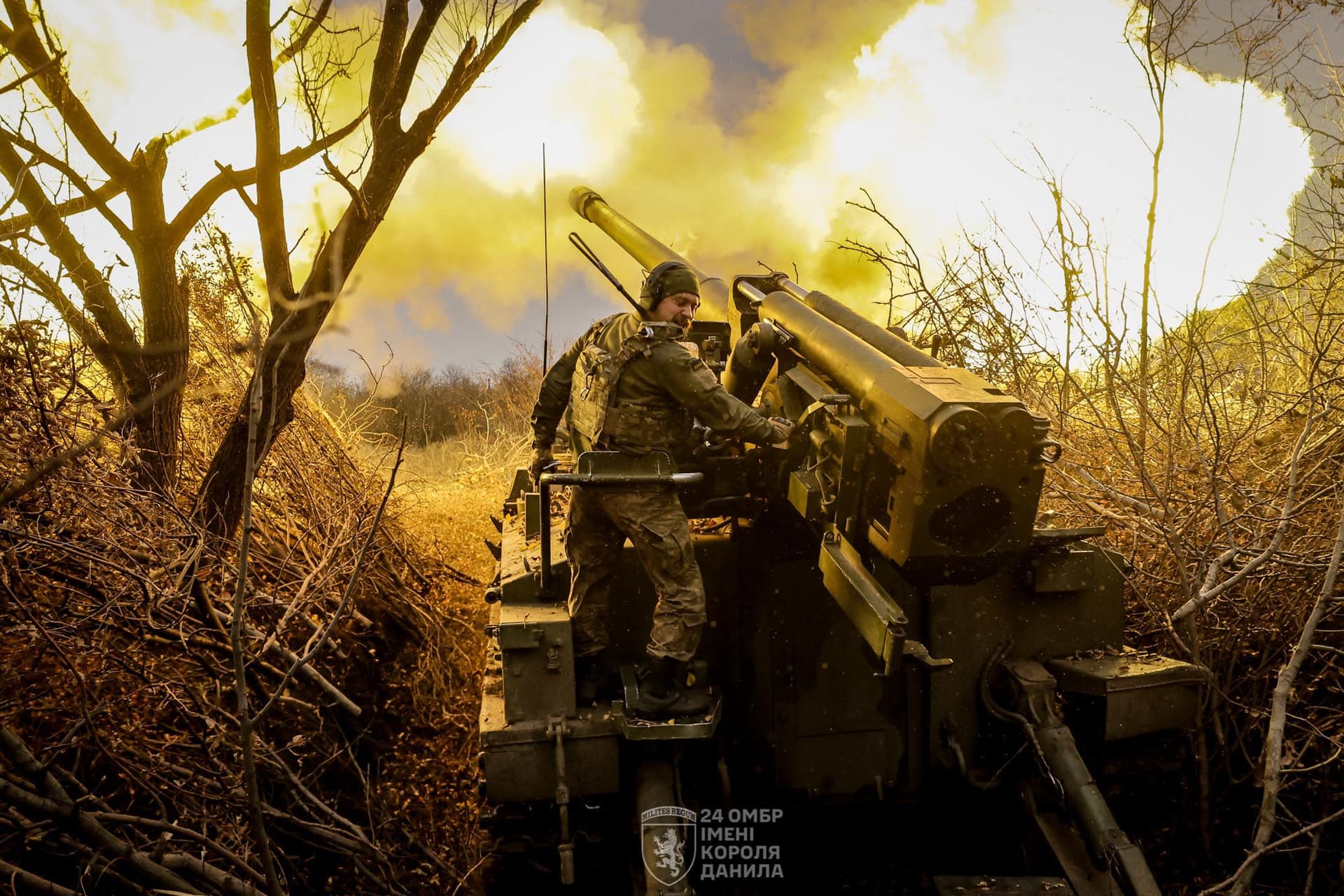 стріляє гіацинт 24 омбр