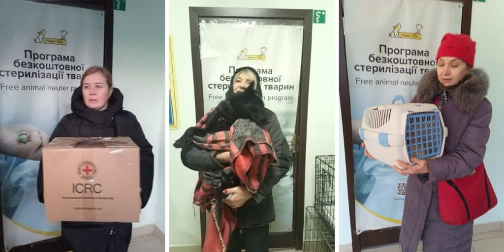 Очередная стерилизационная миссия поработала под эгидой благотворительного фонда Happy Paw в Константиновском обществе