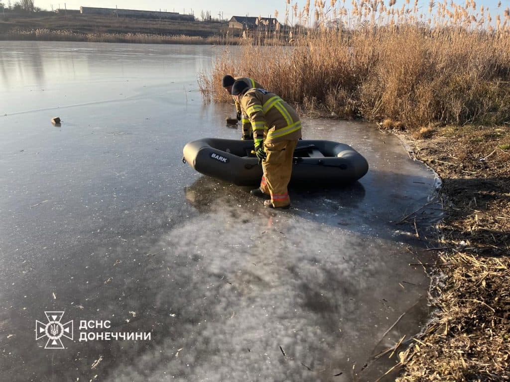 На Донеччині надзвичайники визволили лебедів із крижаної пастки на Краматорщині