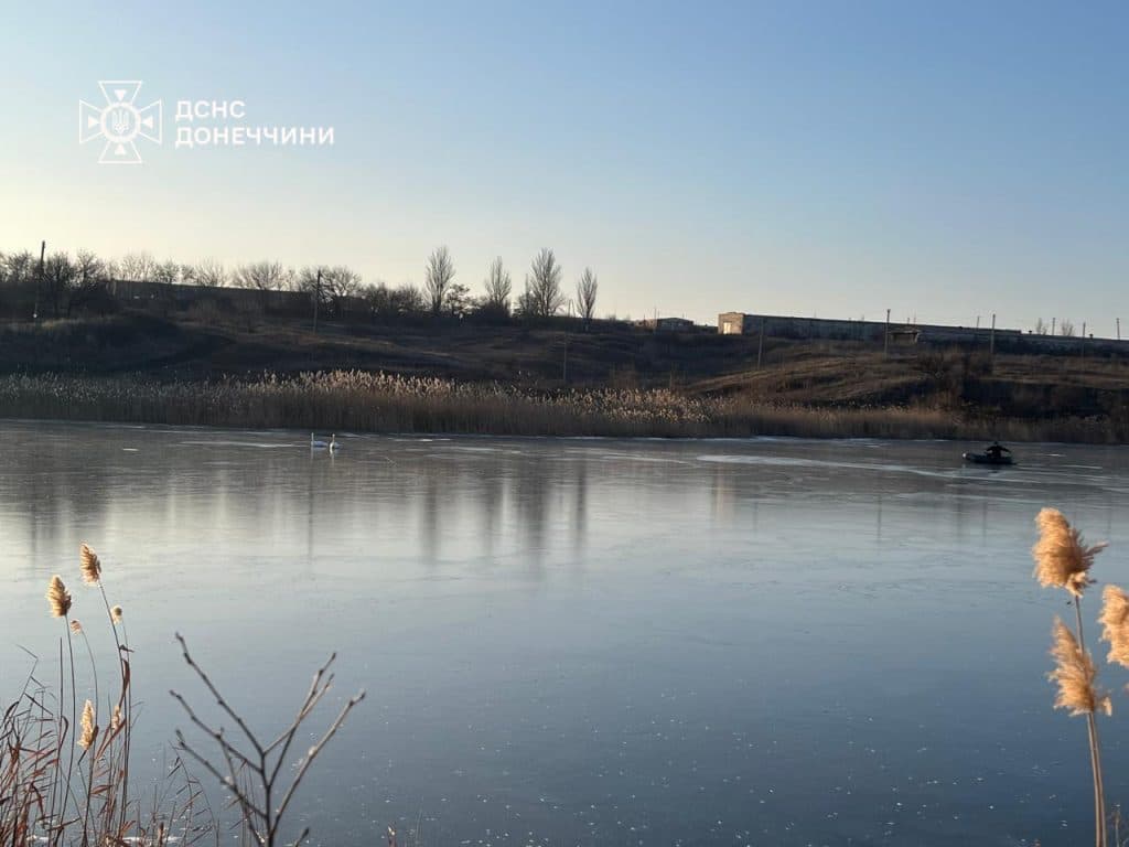 На Донеччині надзвичайники визволили лебедів із крижаної пастки на Краматорщині