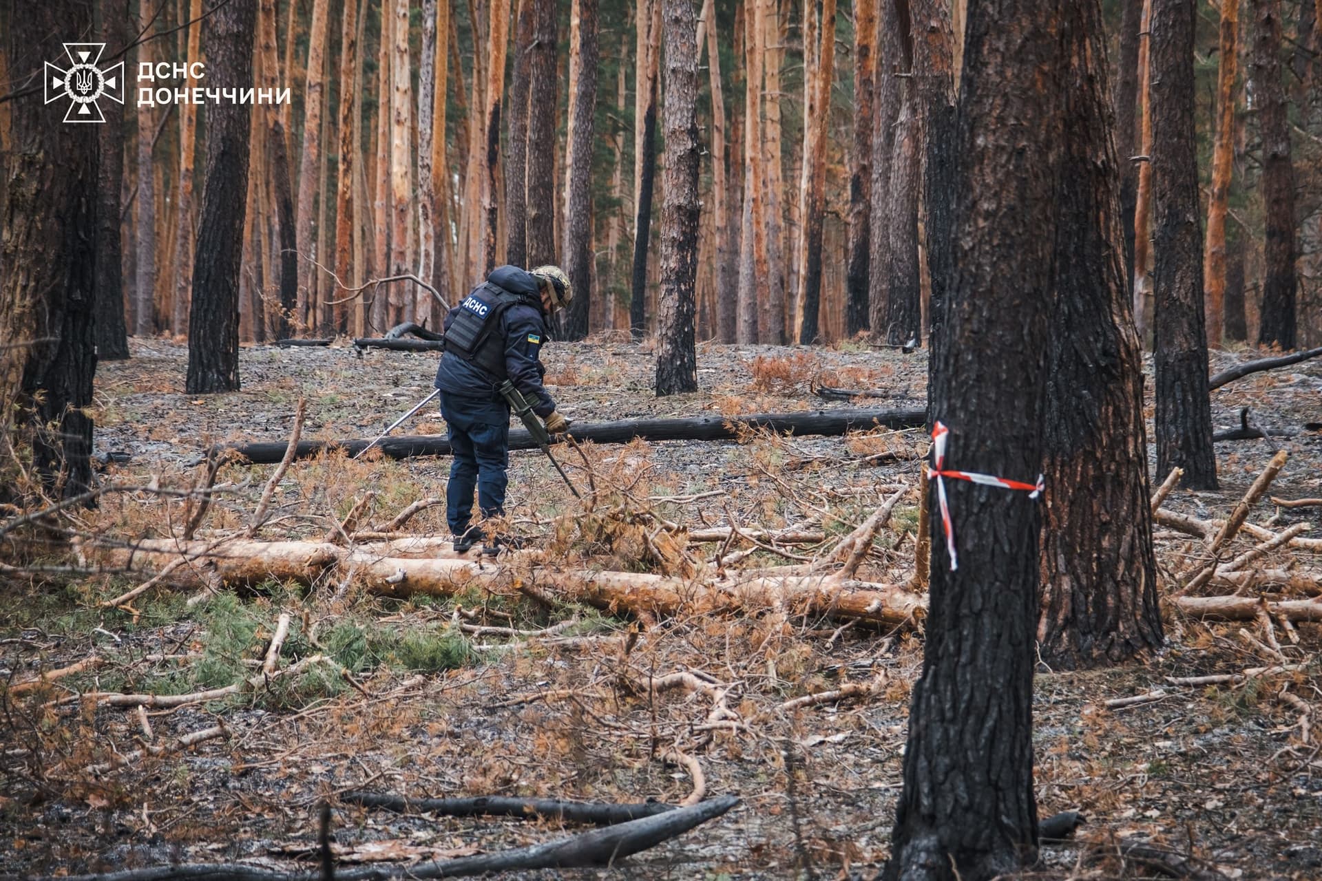 На Донеччині піротехніки ДСНС обстежили понад 120 000 квадратних метрів території