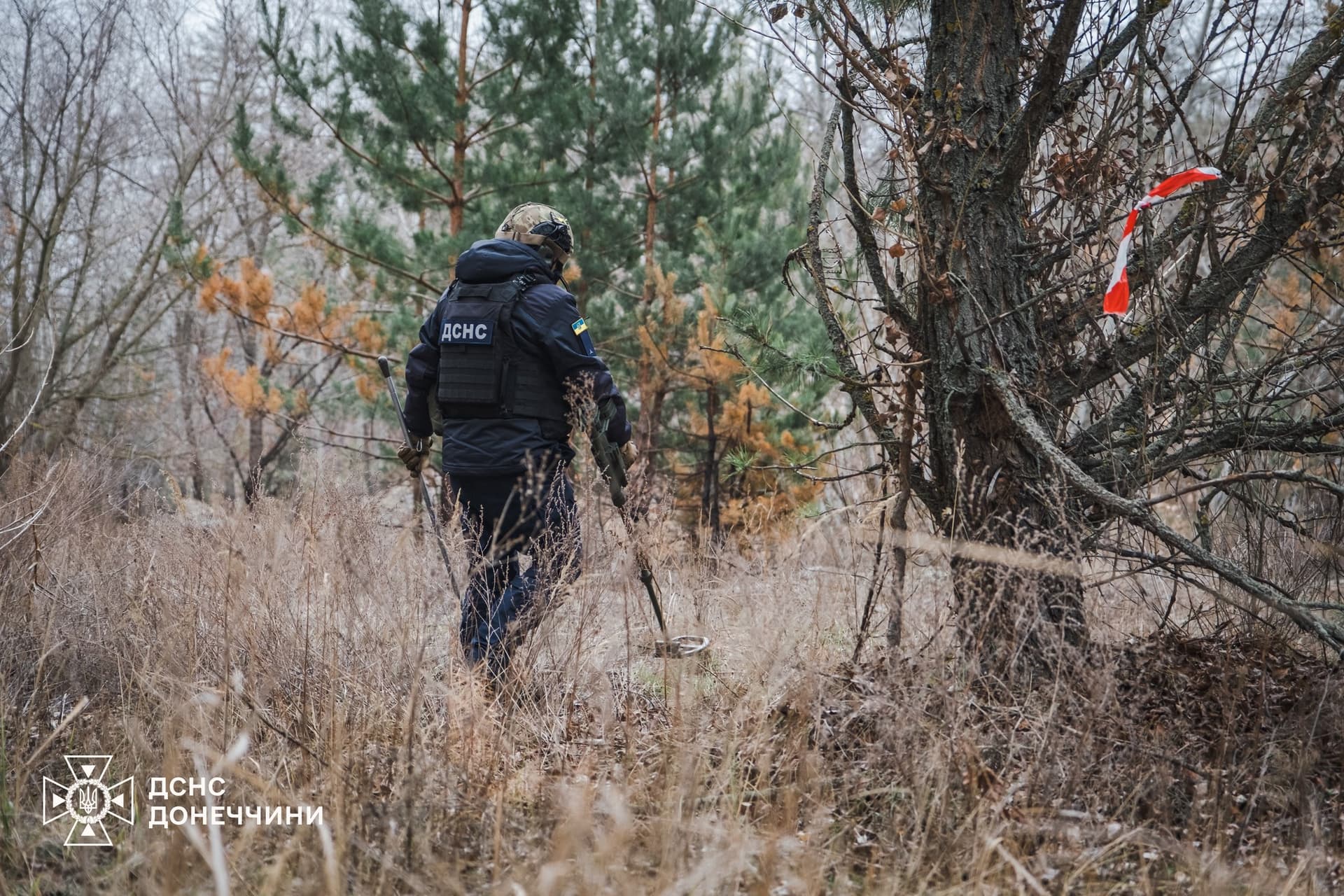 У двох районах Донеччини сапери вилучили понад 25 вибухонебезпечних предметів