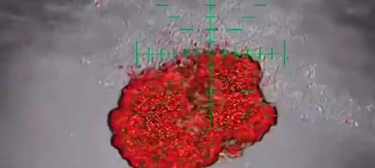 Українські бійці на Куп'янському напрямку ліквідували трьох окупантів (відео)