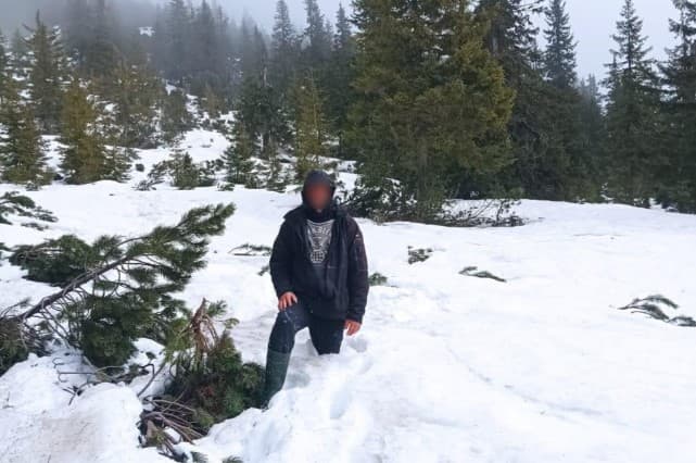 Житель Донеччини хотів через Карпати втекти до Румунії, але загубився та обморозив ноги