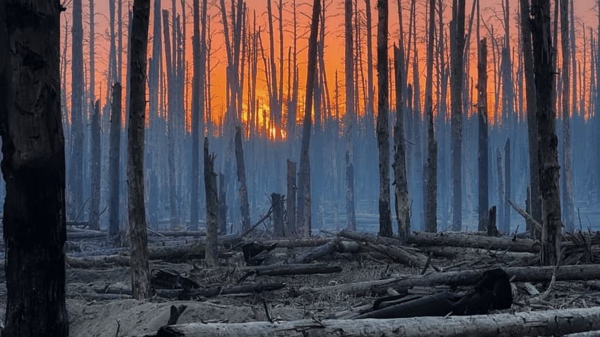 11 пожеж на Луганщині завдали збитків майже на 4 млрд грн