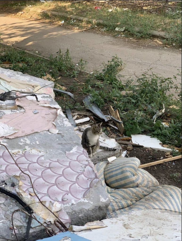 UAnimals тварини