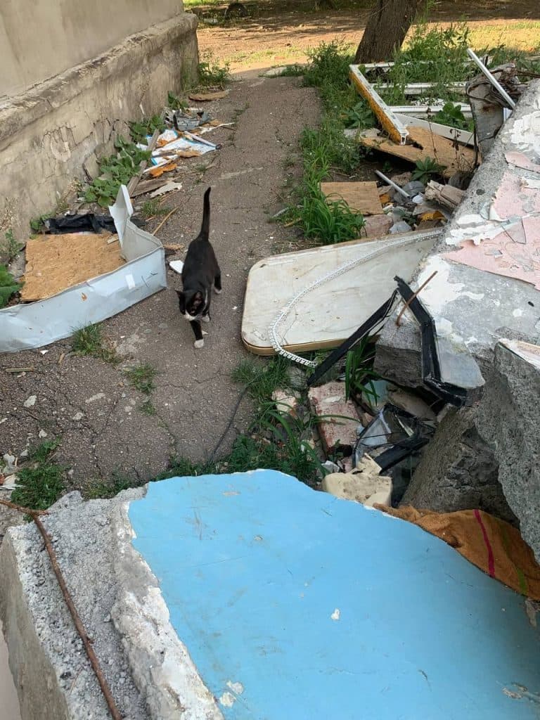 UAnimals тварини