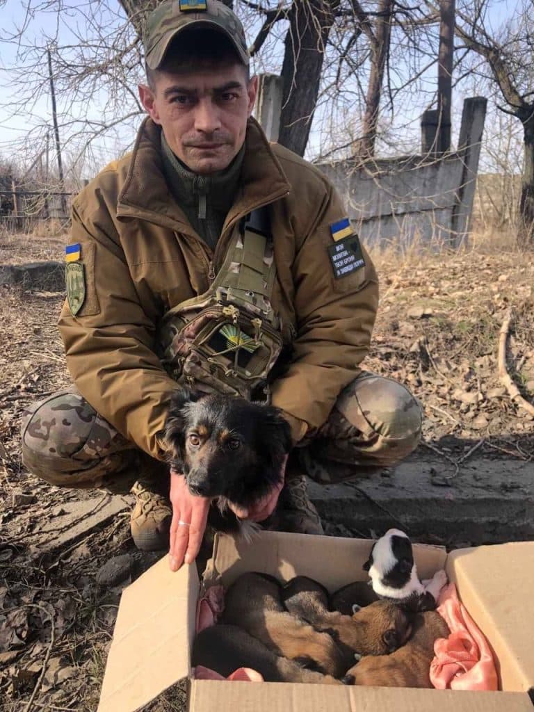 UAnimals тварини