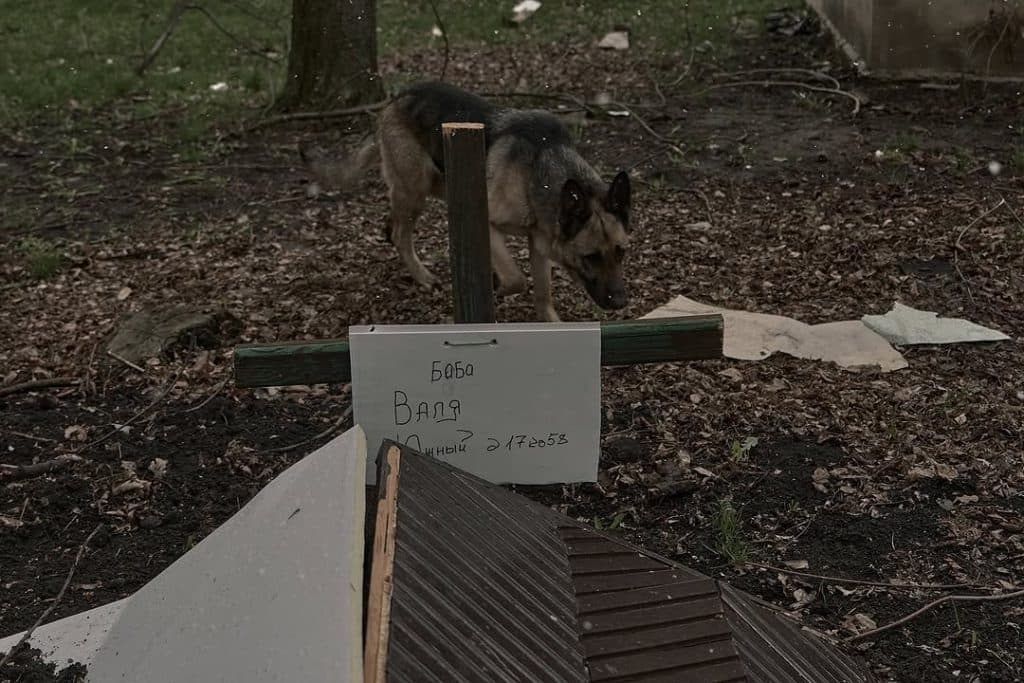 Жертви обстрілів, могили і пастки з дронів: військовий фотограф розповів, що побачив у фронтовому Покровську