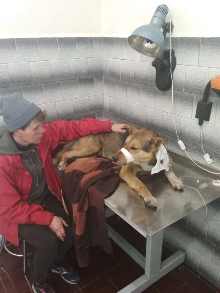 жителька Добропілля Жидкова рятує тварин