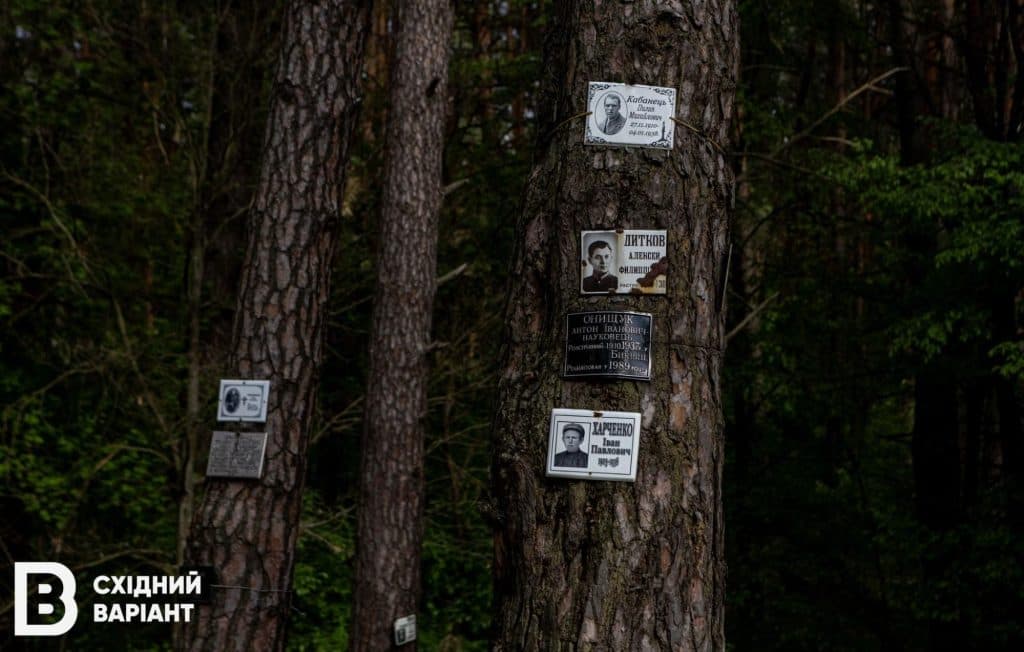 Биківнянські могили