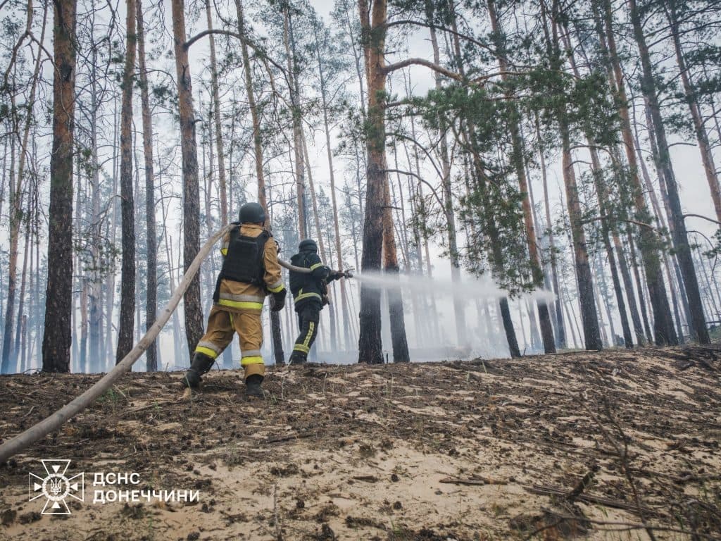 У Лимані рятувальники ліквідували масштабну лісову пожежу