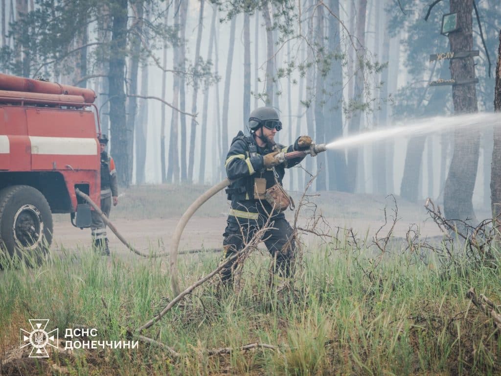 У Лимані рятувальники ліквідували масштабну лісову пожежу